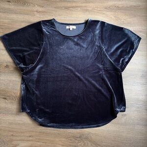 Madewell Navy Velvet Top